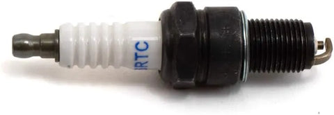 Craftsman CMXGZAM250012 Current Walk 2 BPR6ES 751-10292 Spark Plug, Black