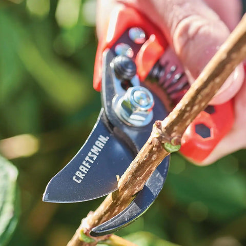 Craftsman 3/4-in. Manual Bypass Pruner for Cutting, Trimming Branches, Shaping Rose Bushes