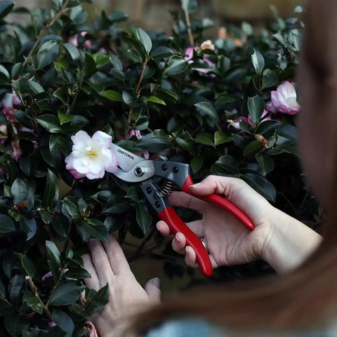 Craftsman 3/4-in. Manual Aluminum Bypass Hand Pruner for Cutting, Trimming Branches, Shaping Rose Bushes