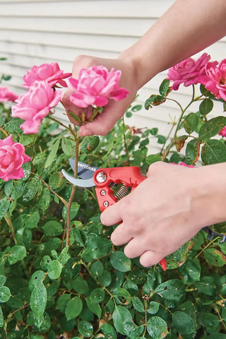 Craftsman 5/8-in. Manual Cut Bypass Pruner