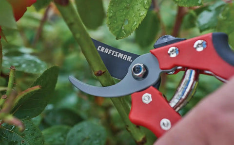 Craftsman 3/4-in. Manual Cut Bypass Pruner